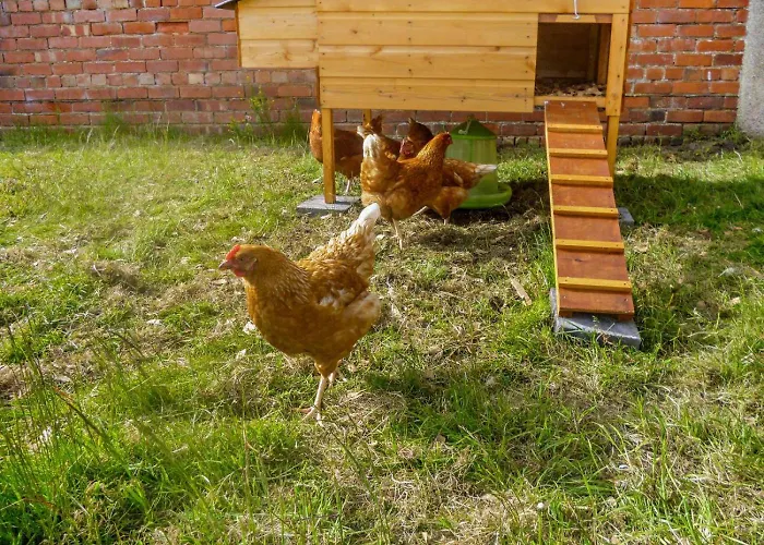 Lägenhet 1 Bed In Oc-t28309 *